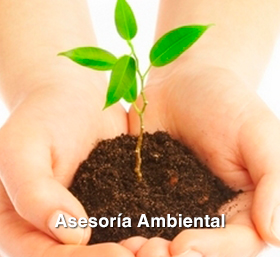 Asesoría Ambiental