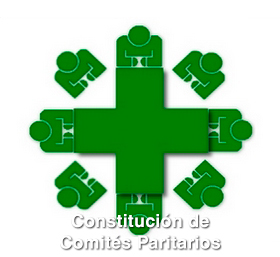 Constitución Funcionamiento Comite Paritario de Higiene y Seguridad